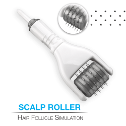 Scalp Roller